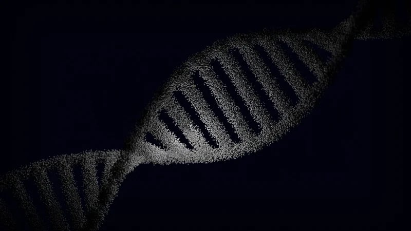 DNA double helix composed of small particles