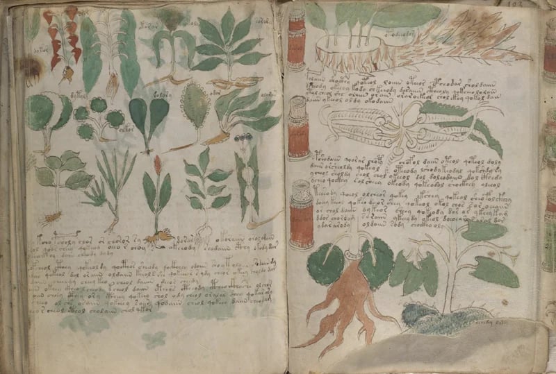 Part of the Voynich manuscript